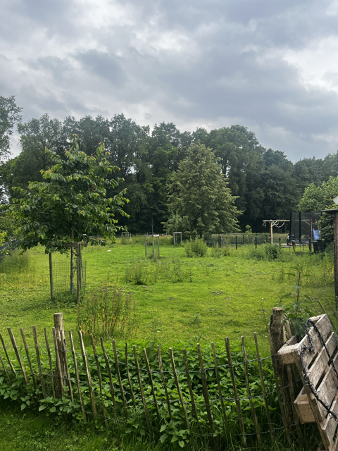 Unsere Wiese
